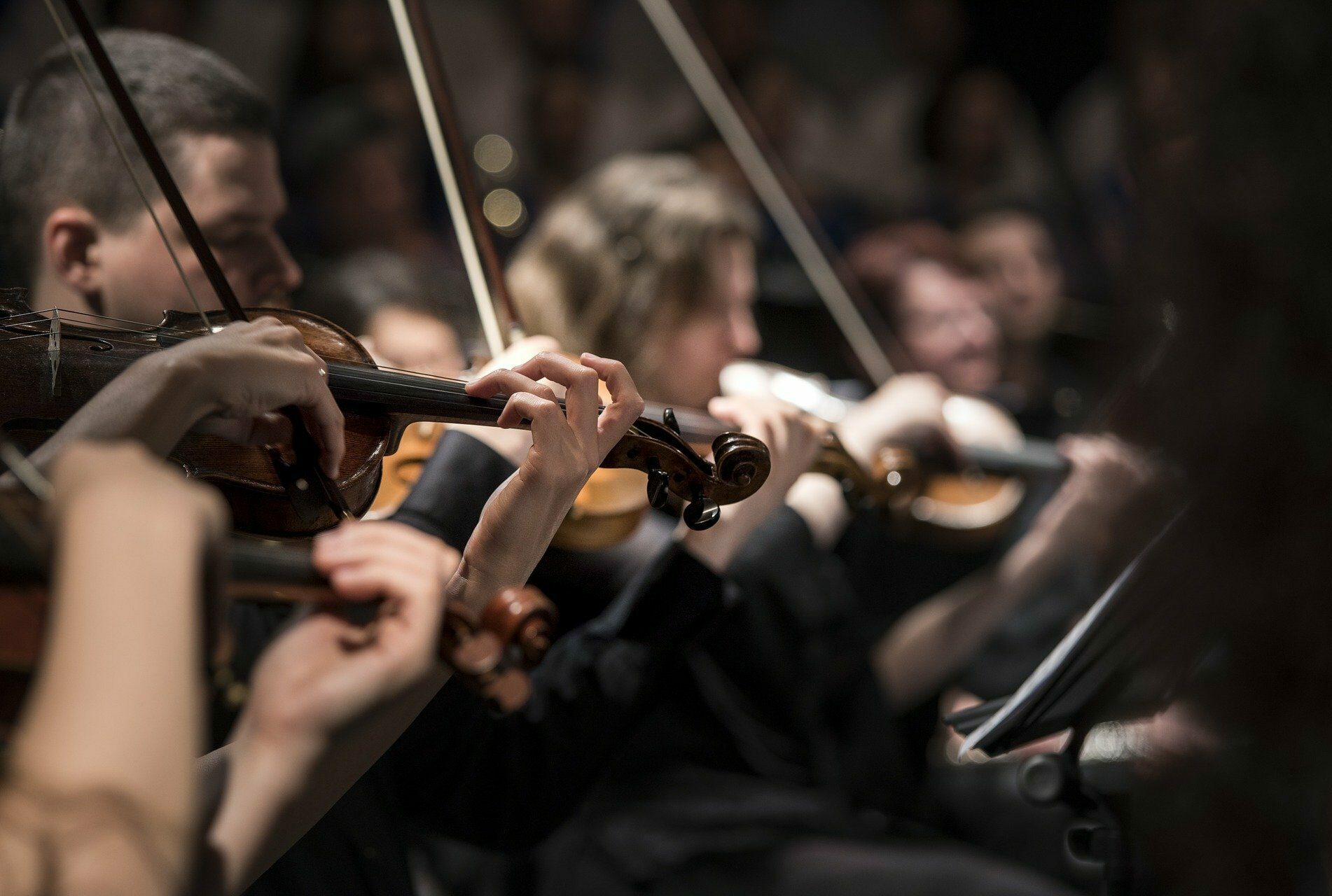 cropped-cropped-violins-1838390_1920-2.jpg